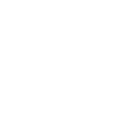 Diretriz